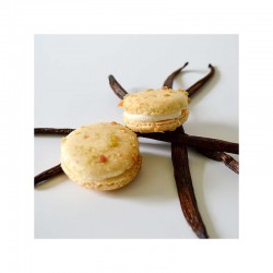 French Macarons - Blue Box 12-count - Single Flavor - Vanilla Bean